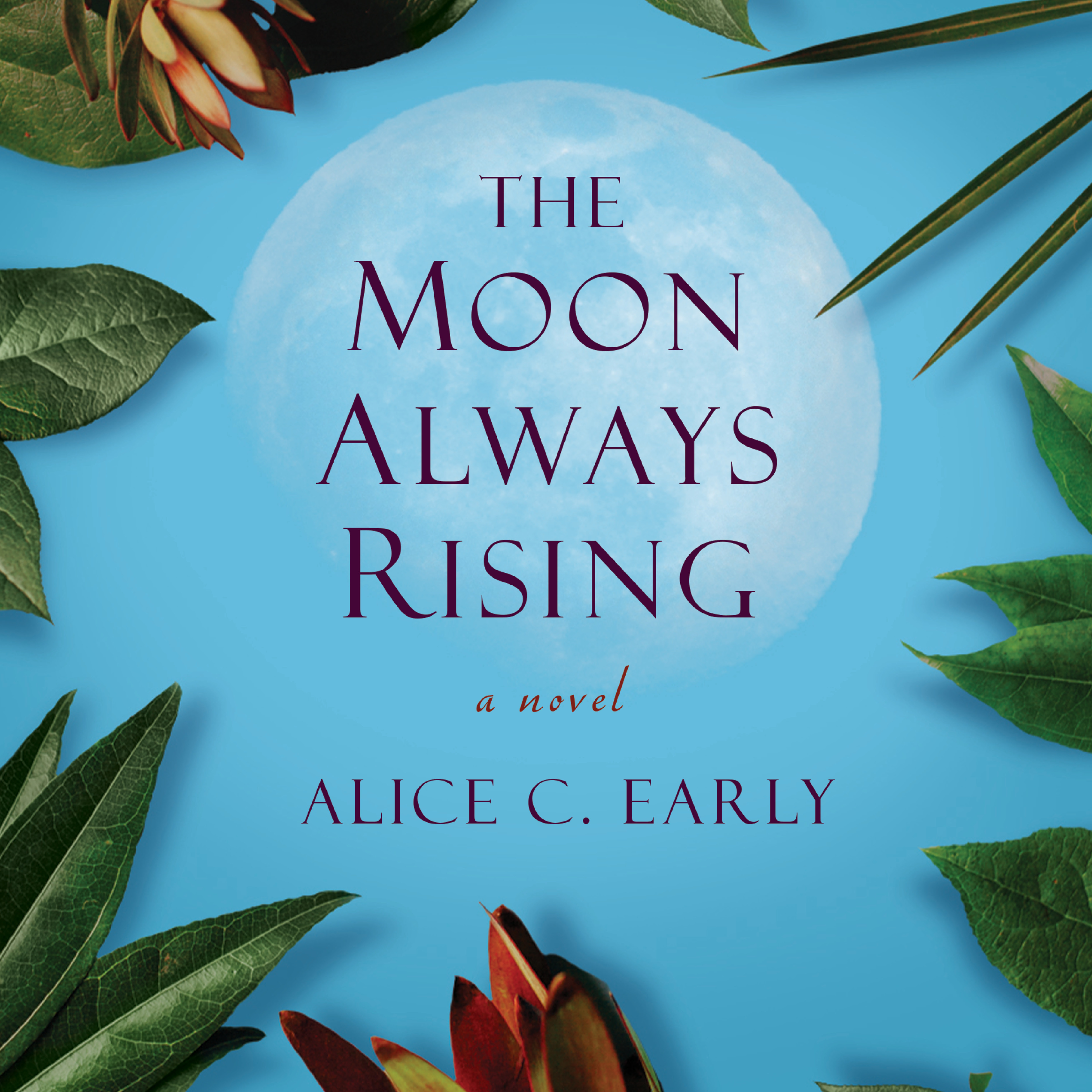 <span>The Moon Always Rising:</span> The Moon Always Rising